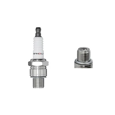 Bouchue d'allumage nickel buzhw -2 2173