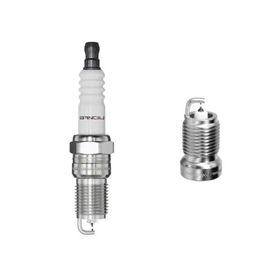 Iridium Platinum Spark Plug iTr6f 13 4477